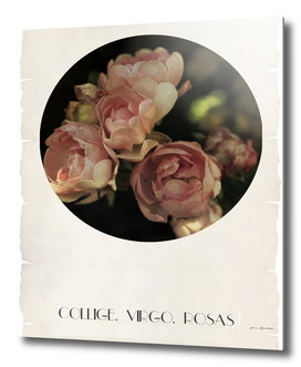 Collige Virgo Rosas