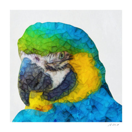 polygon parrot