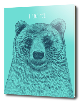 I Like You Bear