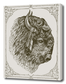 Buffalo Portrait (Bison)