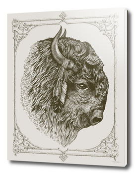 Buffalo Portrait (Bison)