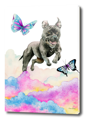 Leap! - Pit Bull Dog, Rainbow Clouds, and Butterflies