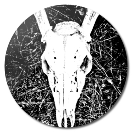 Deer Skull II