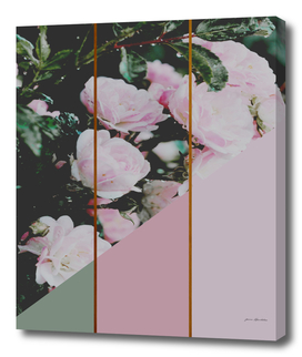 Pink Roses Palette