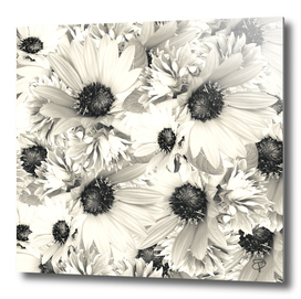 Moonlight Ivory Floral
