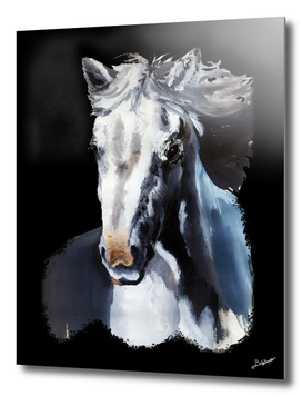 Wild White Horse from the Dark