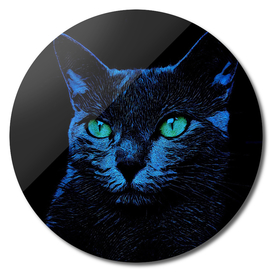 BLUE CAT ON BLACK