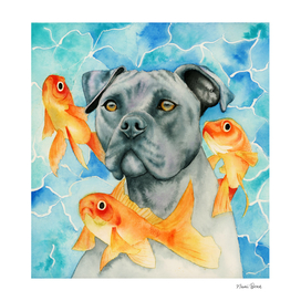 Guardian | Pit Bull Dog and Goldfishes Watercolor Painting