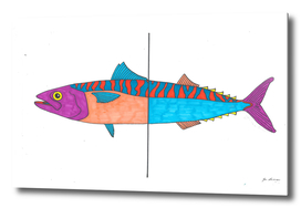 Psychedelic Mackerel fish