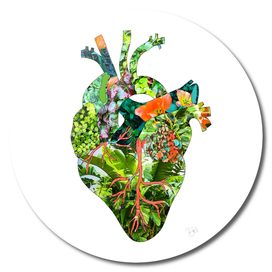 Botanical Heart