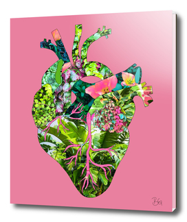 Botanical Heart Pink