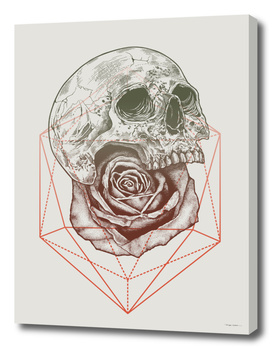 Skull Rose Geo