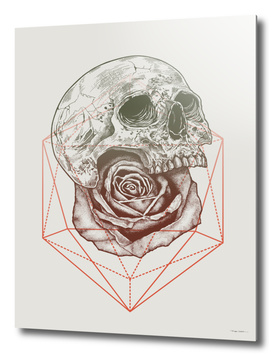 Skull Rose Geo
