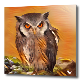 Owl in an orange night