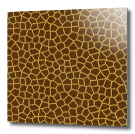 Giraffe Skin Pattern