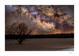 Milky way and Lone Tree