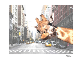 Selfie Giraffe in New York