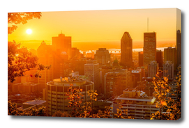 Montreal Sunrise