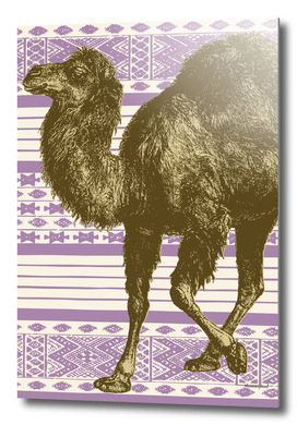 Bazaar Camel Lavender