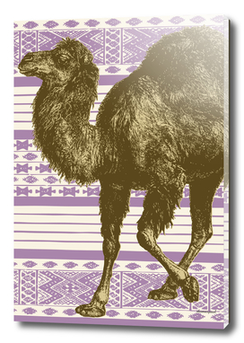 Bazaar Camel Lavender