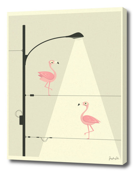 Pink Flamingos on a Wire