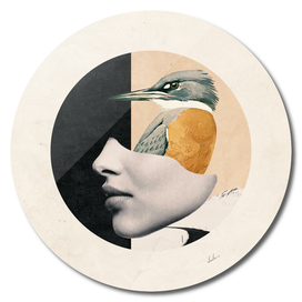 collage art / bird