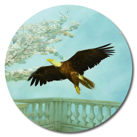 Springtime Eagle