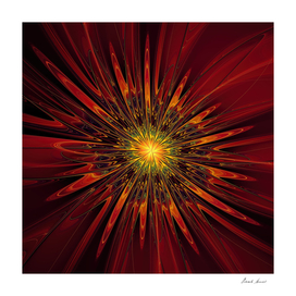 Red Abstract Flower