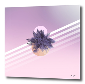 Moon Fern on Pink and Violet Ombre