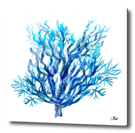 Simply Blue Coral