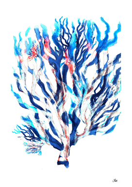 Watercolor Blue Coral
