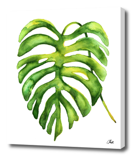 Green Watercolor Palm