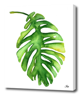\Watercolor Green Leaf