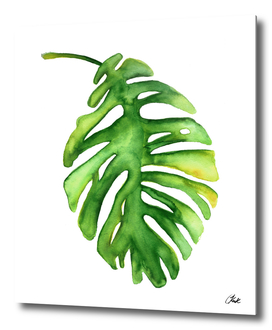 \Watercolor Green Leaf