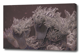 Soft coral in grey