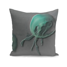 Jellyfish on grey