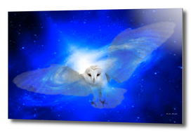 space-owl