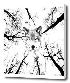 wolf-tree-s6