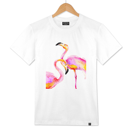 Love Flamingos
