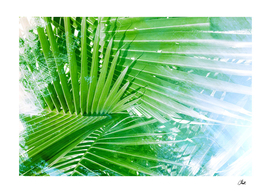 Palm Leaves Green