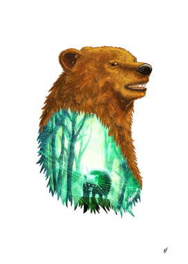 Bear's Forest