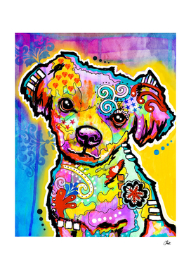 Belota Colorful Puppy Dog