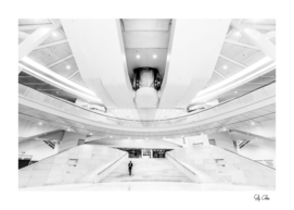 WTC Transportation Hub Oculus
