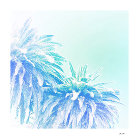 Dreamy Tropical Palm Blues