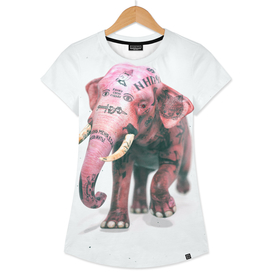 I believe in pink elephants