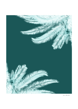 Palm leaves silhouettes on teal