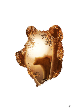 Bear's Hideout