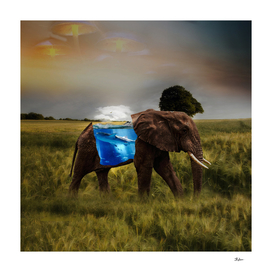 Elephant With A Aquarium | Visual Art
