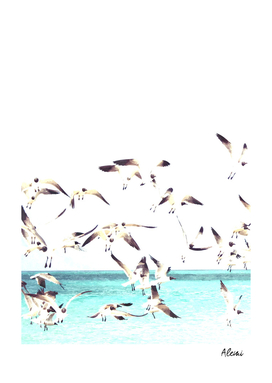 Seagulls Illustration