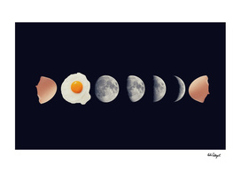 eggs phases